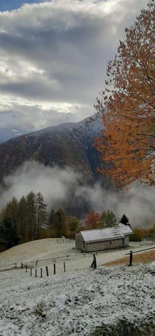 Graziosa, Casetta in Valgerola Rasura Esterno foto